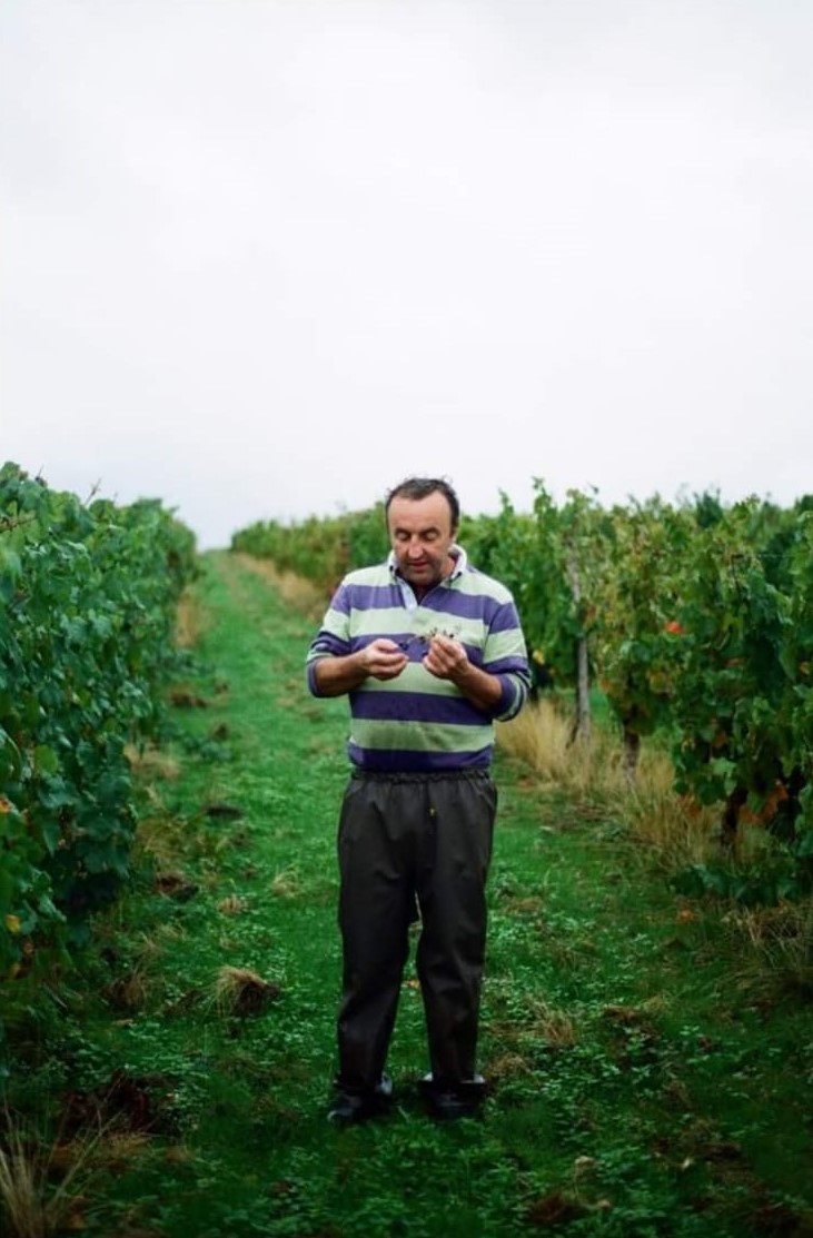 Domaine du Four  Chaux - Dominique Norguet Vignes