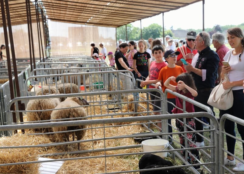 ville de Montoire - La Foire aux vins de Montoire-sur-le-Loir